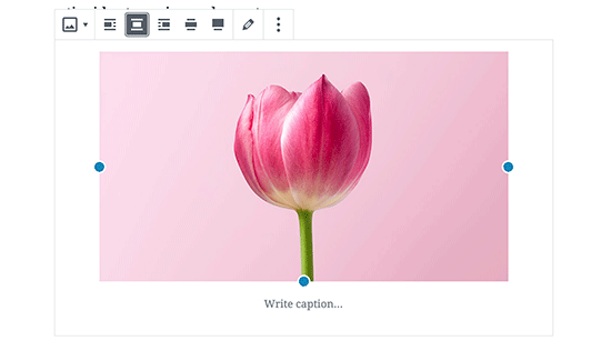 Cómo insertar y alinear imágenes en el editor de bloques de WordPress