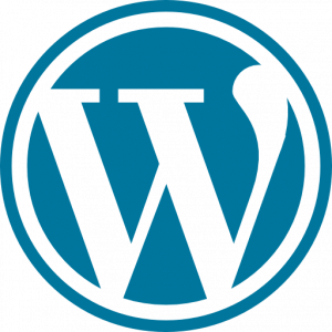 Cómo se puede acelerar un WordPress