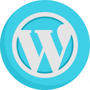Actualizar siempre WordPress rendimiento wordpress