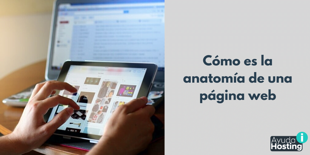 Cómo es la anatomía de una página web