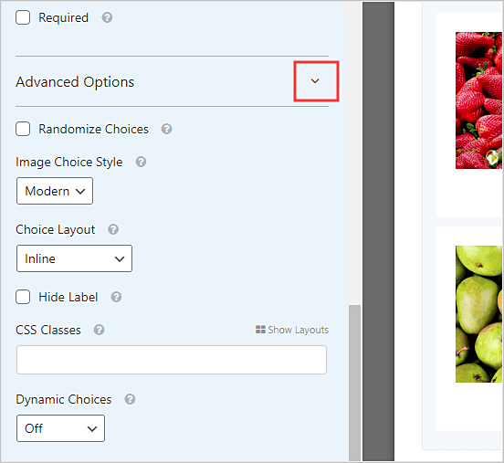 Cómo agregar opciones de imagen en formularios de WordPress