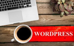crear plugin wordpress